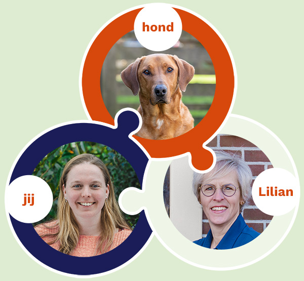 diagram samenwerking Lilian, hond en eigenaar