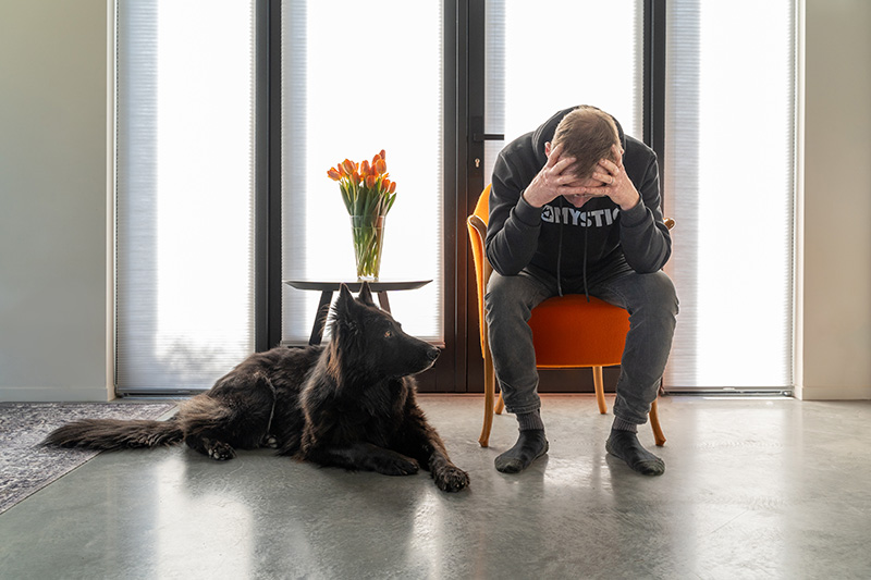 verlatingsangst-hond-wanhoop