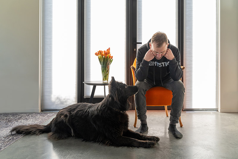 probleemgedrag van hond aanpakken